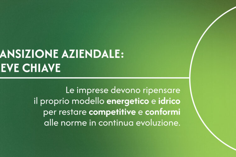 Transizione aziendale: 3 leve chiave per un futuro più sostenibile